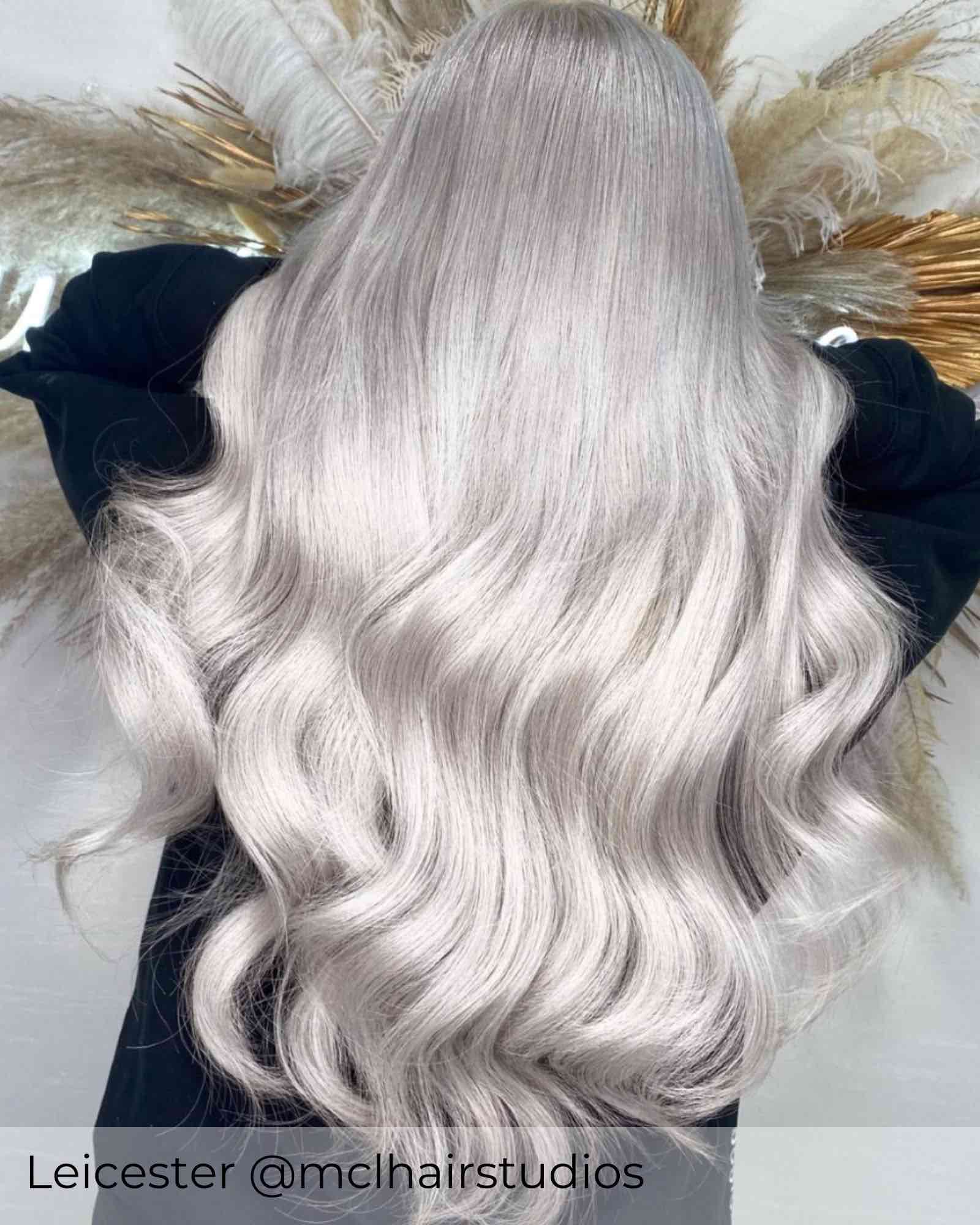 #66 Silver Fox Tape In Hair Extensions - Image 2